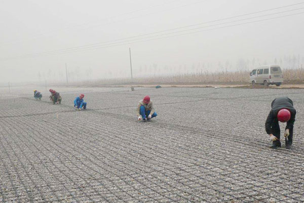 阿爾山鋼塑土工格柵案例