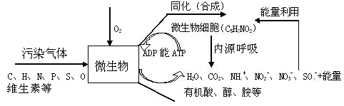 微生物除臭系統(tǒng)